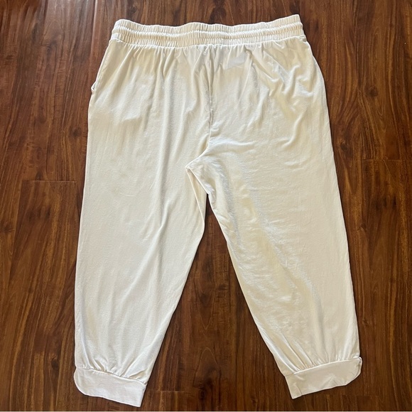 AnyBody Lounge Cozy Knit Split Cuff Joggers in Warm Sand size 1X - Picture 9 of 9